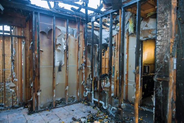 Professional Fire Damage Removal technician working in Seffner, FL