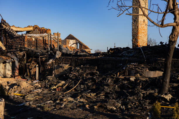 Reliable Fire Damage Removal contractor in Seffner, FL by Fire Damage Doption