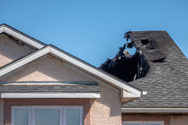 Top rated local Fire Damage Removal specialists in Seffner, FL